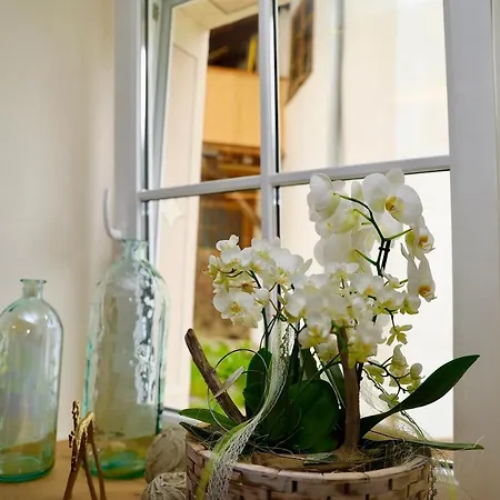 Guest house Seeapart Poeder 4*