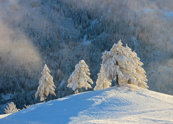 Seeapart Poeder Gasthuis Ladis